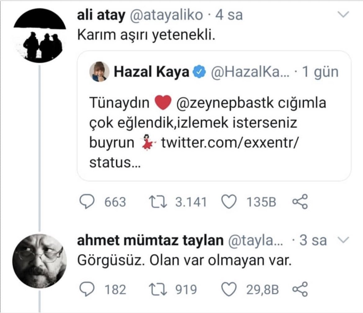 Ahmet Mümtaz Taylan’ın Ali...