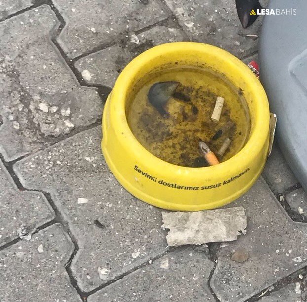 Lütfen şu insanları...