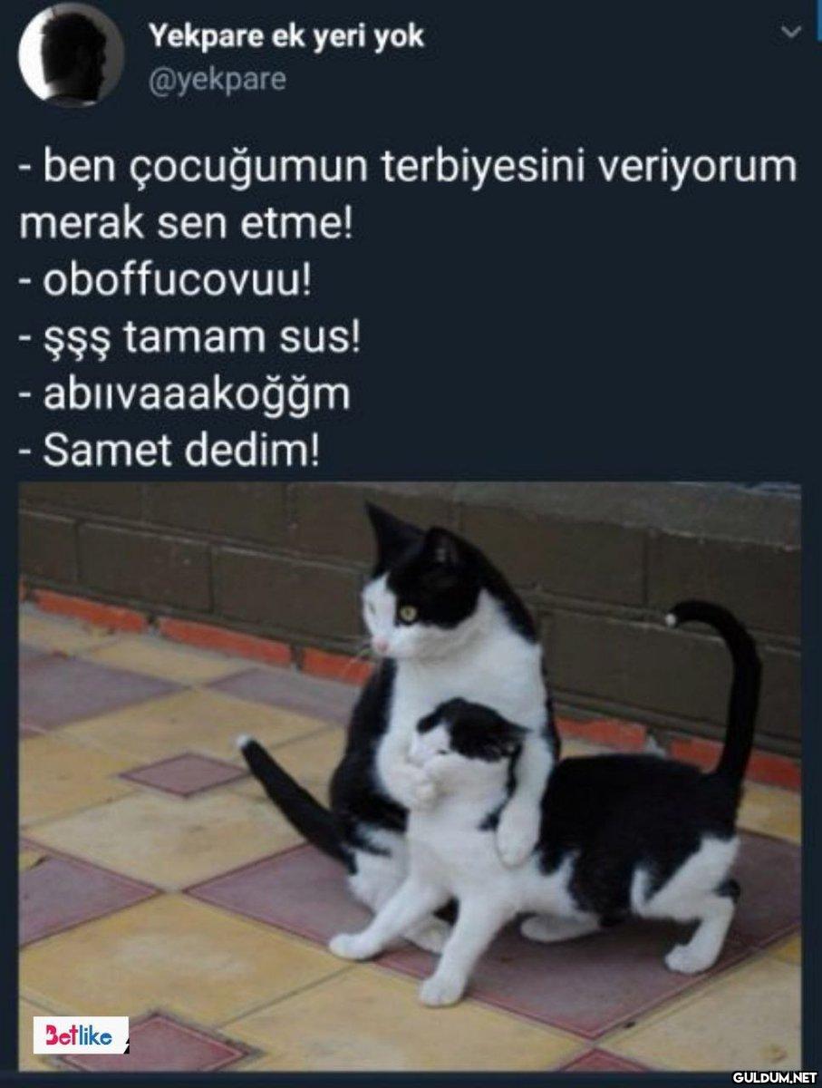 Yekpare ek yeri yok...
