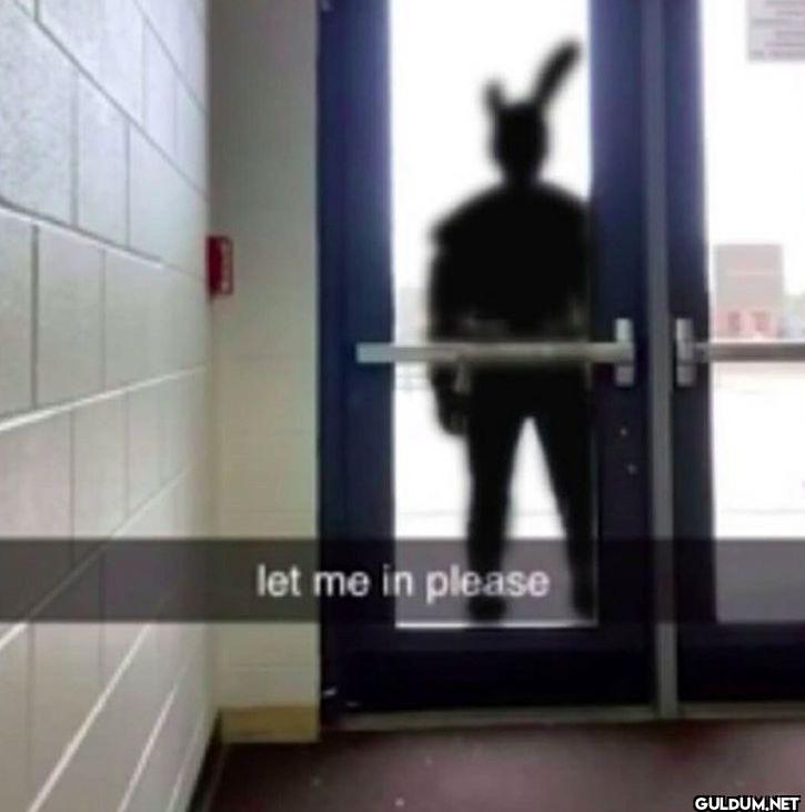 let me in please