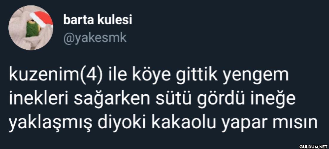 kuzenim(4) ile köye gittik...
