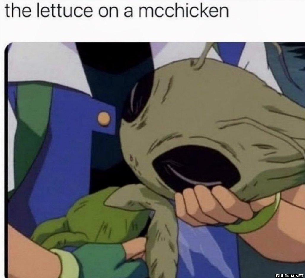 the lettuce on a mcchicken