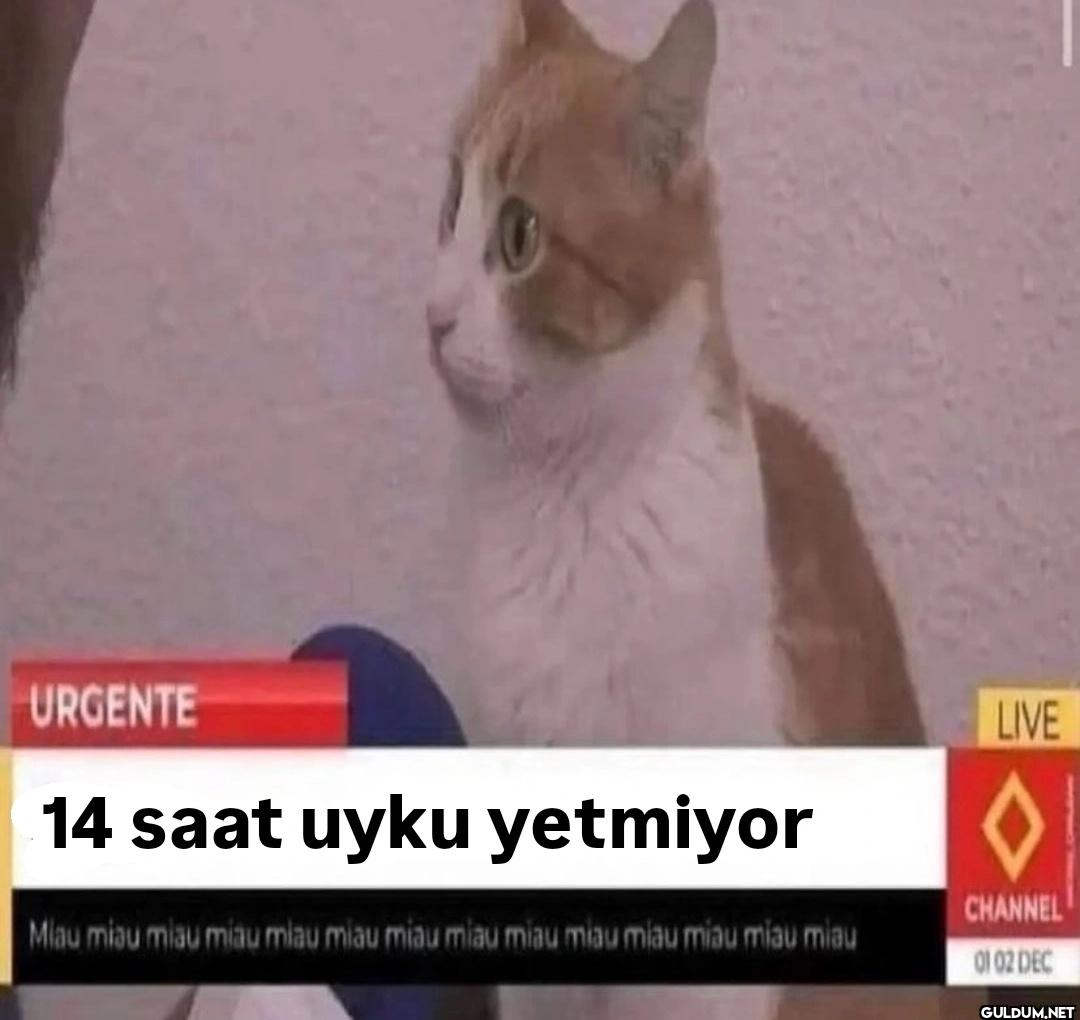 URGENTE 14 saat uyku...