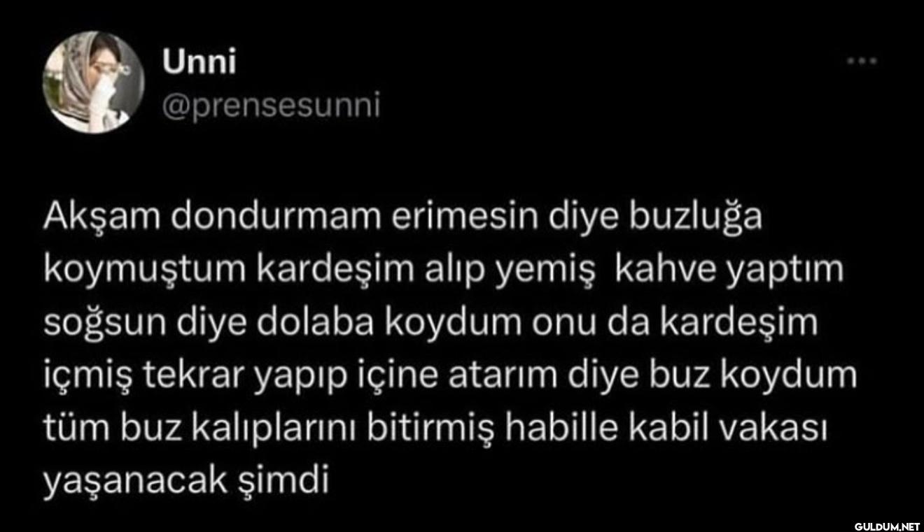 Akşam dondurmam erimesin...