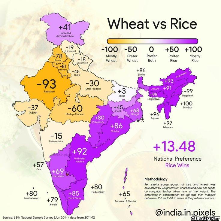 Wheat 🌾 vs Rice 🍚    +41...
