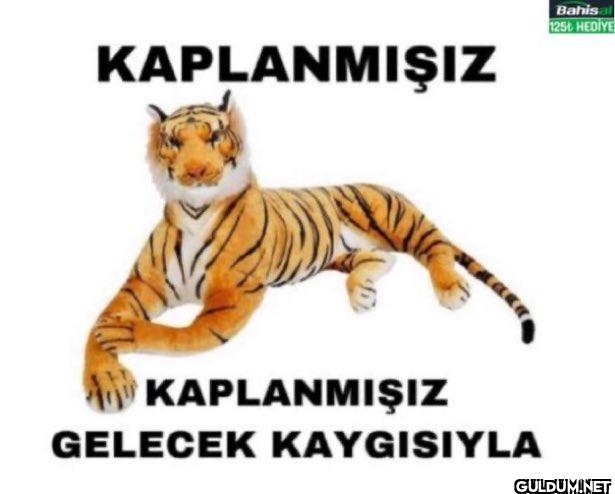 KAPLANMIŞIZ Bahisal 125...