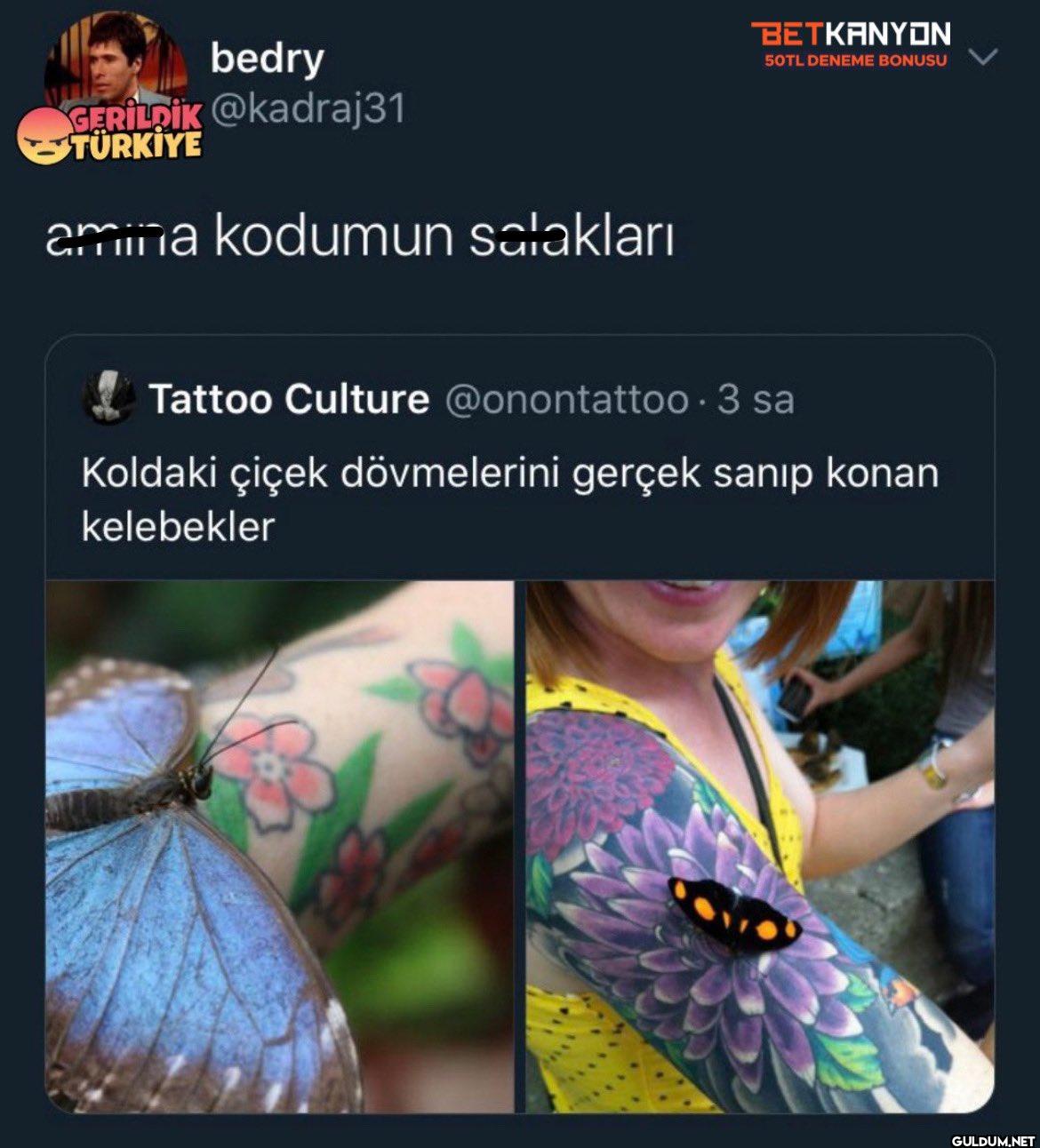 TÜRKİYE amina kodumun...