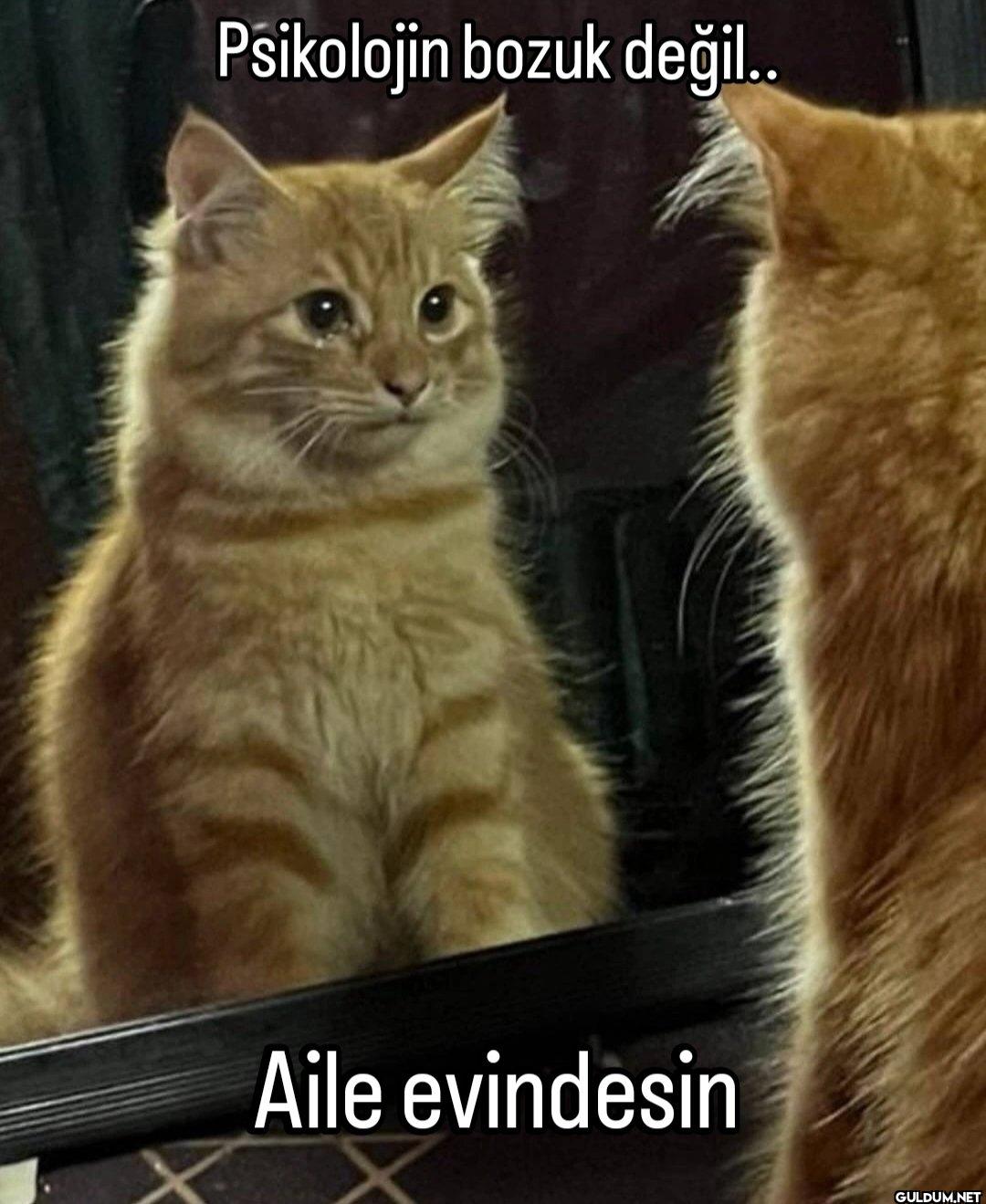 Psikolojin bozuk değil.....