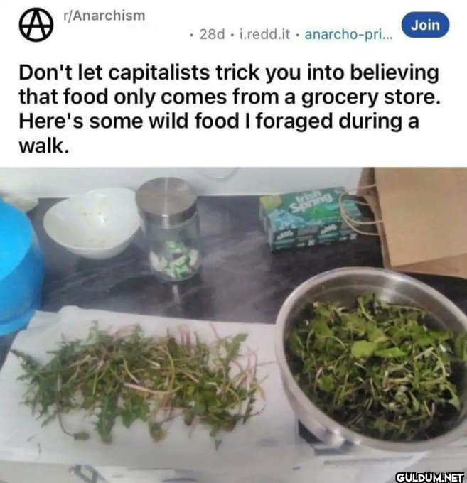 r/Anarchism Join .28d...