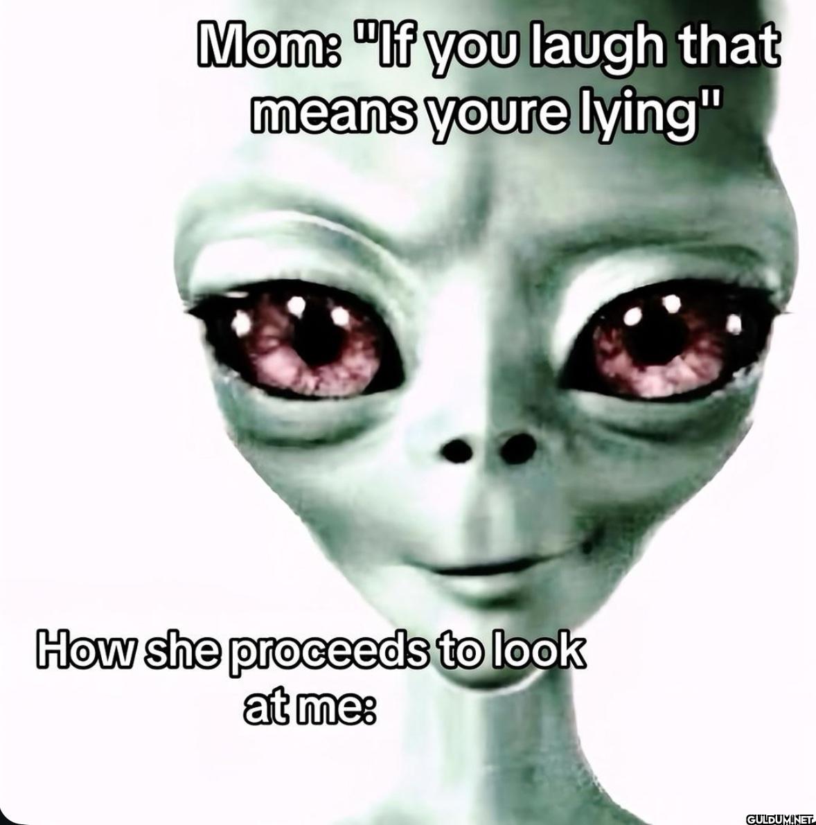 Mom: "If you laugh that...