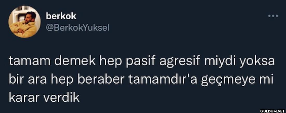tamam demek hep pasif...