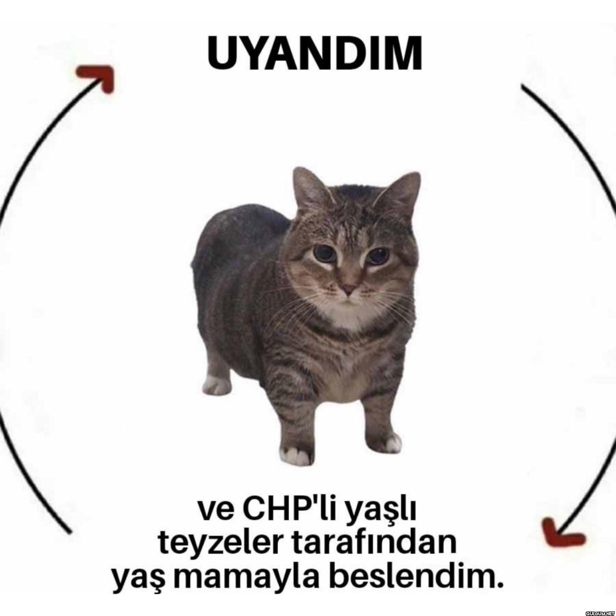 UYANDIM ve CHP'li yaşlı...