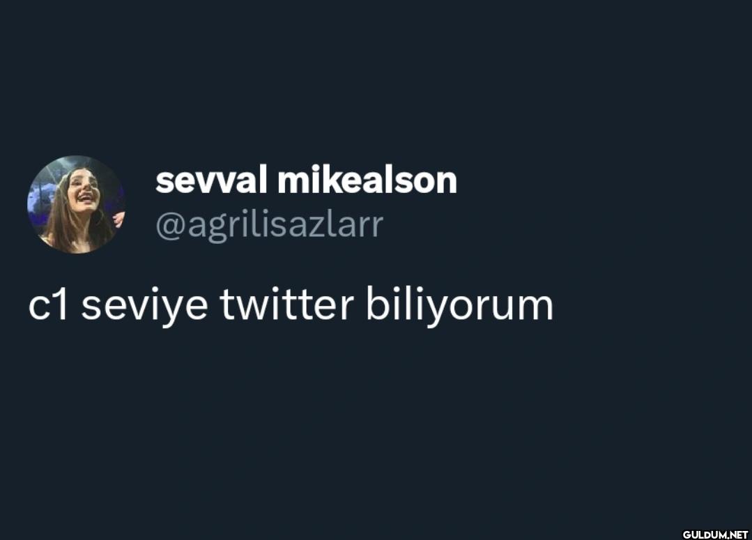 c1 seviye twitter biliyorum
