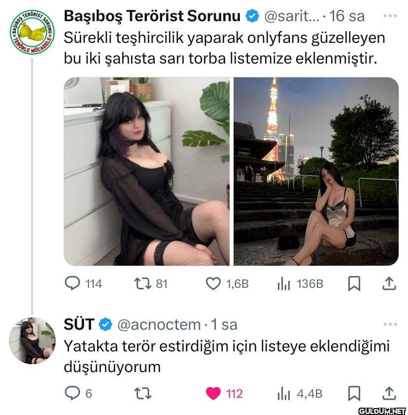 BASIBOS TER TERORLE SORUNU...