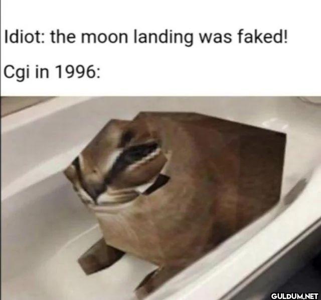 Idiot the moon landing was...