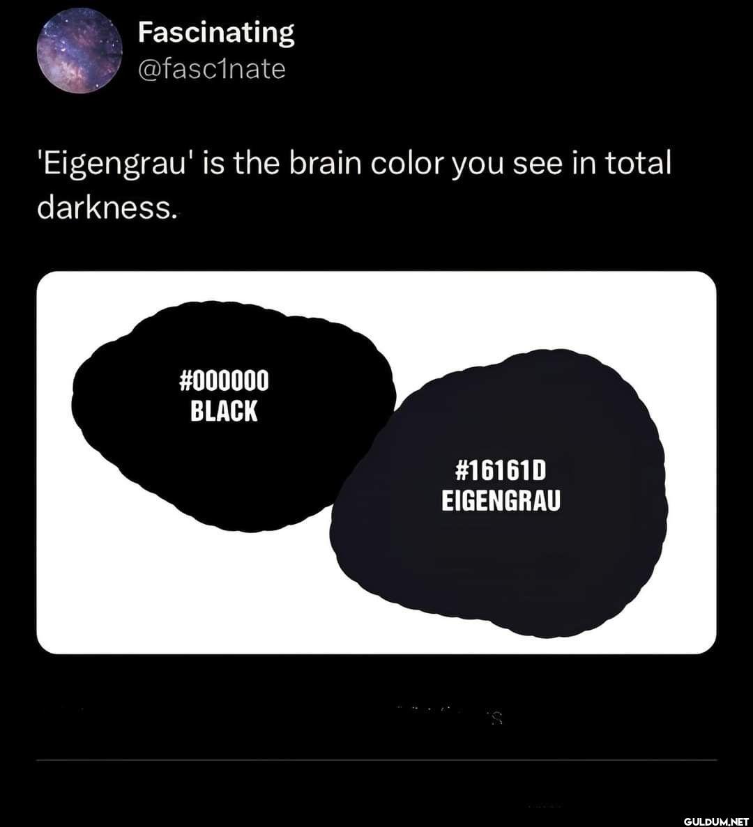 'Eigengrau' is the brain...