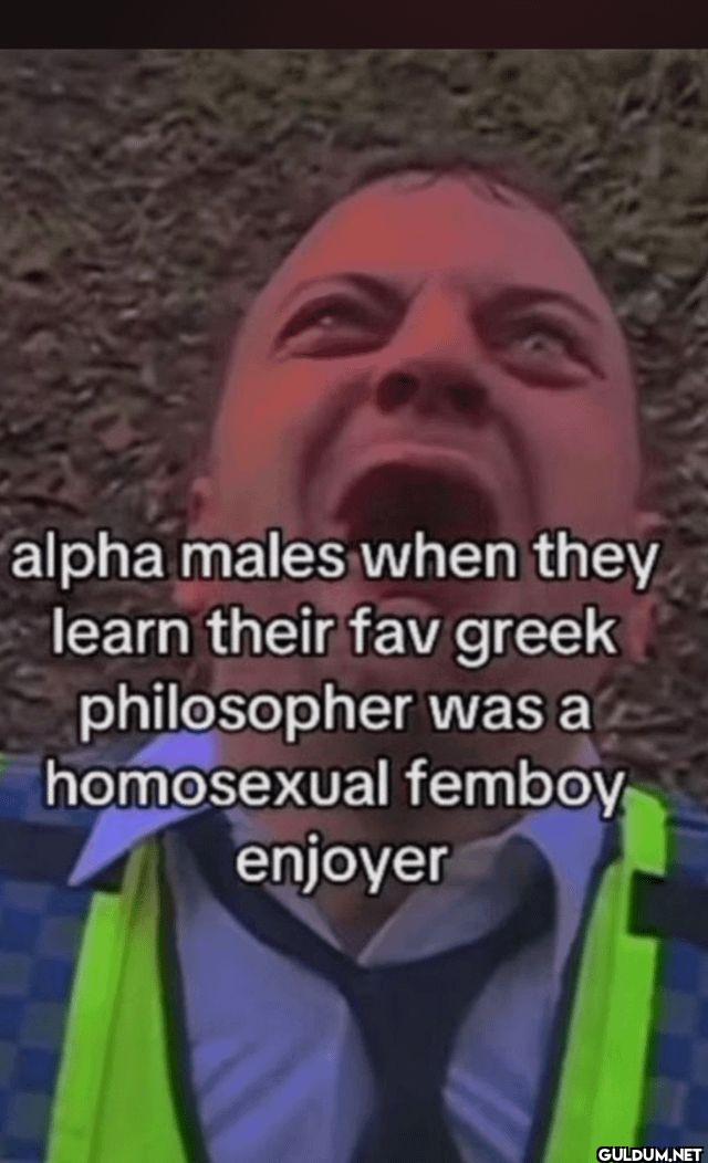 alpha males when they...