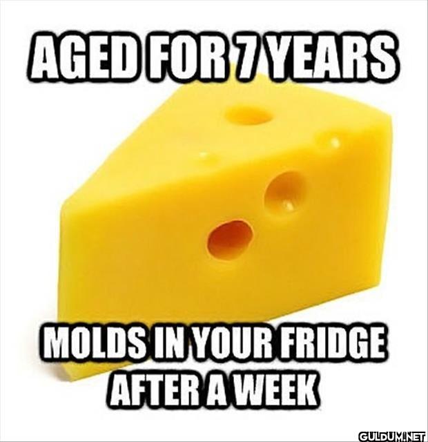 cheese    AGED FOR 7 YEARS...