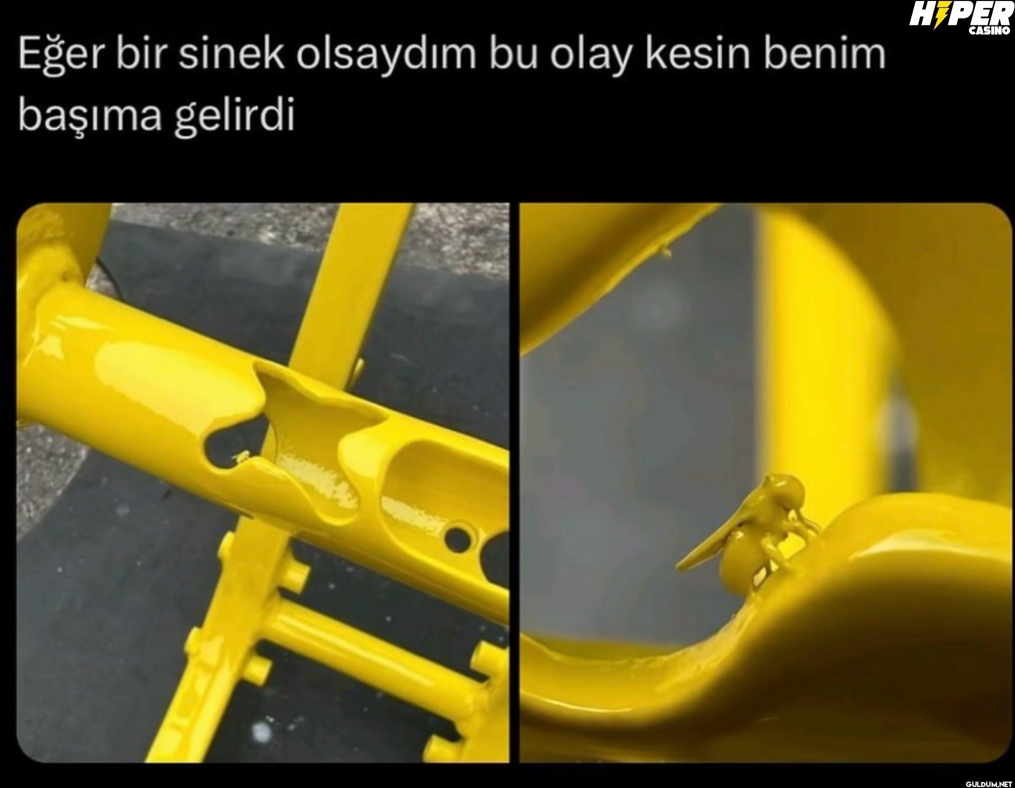 Eğer bir sinek olsaydım bu...