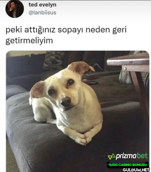 peki attığınız sopayı...
