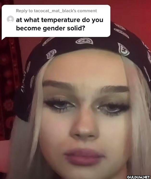 Reply to...