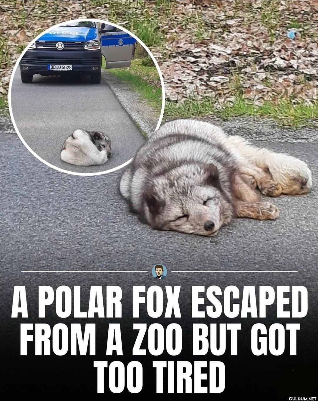 Poor guy.    DD.Q5028 A...