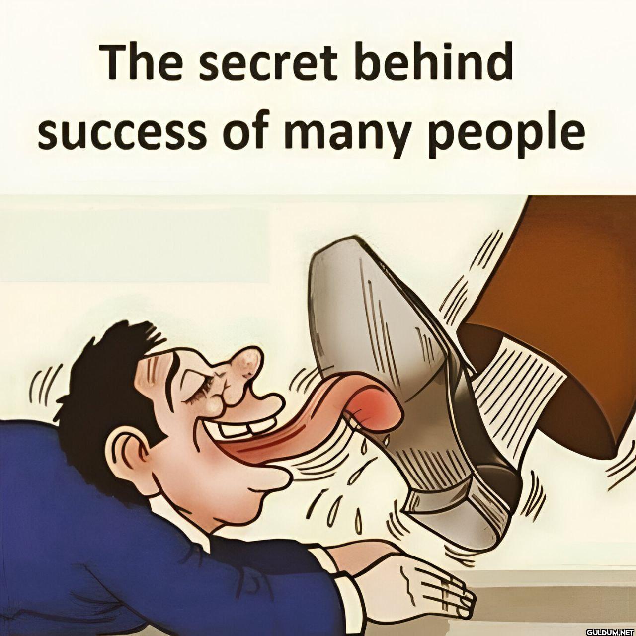 6. The Secret Behind...