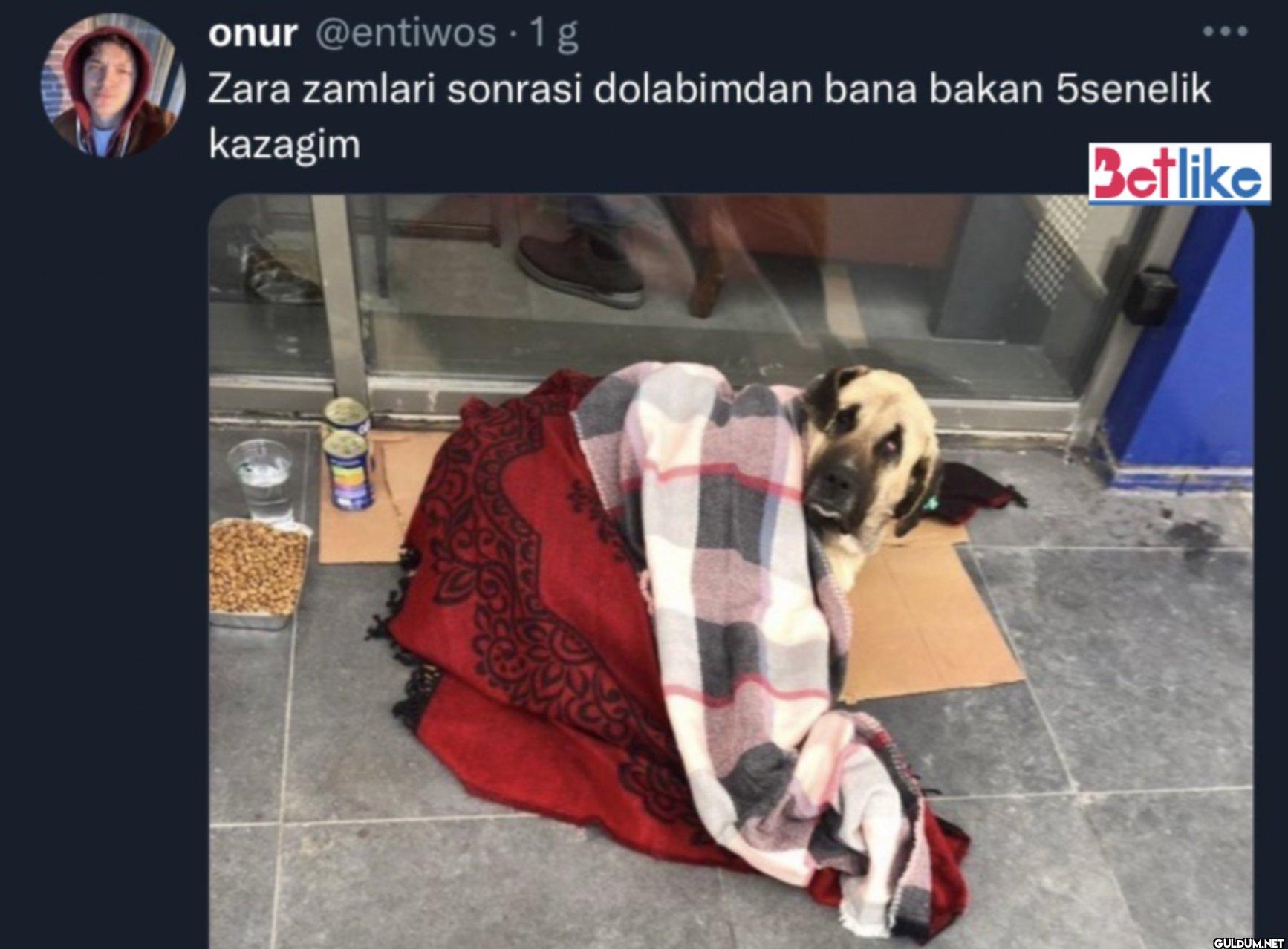 1g Zara zamlari sonrasi...