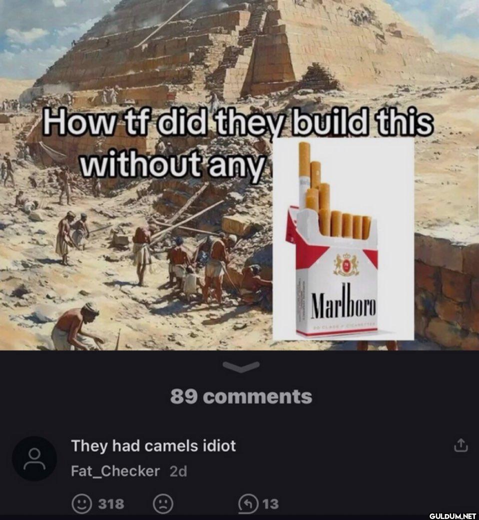 How tf did they build this...