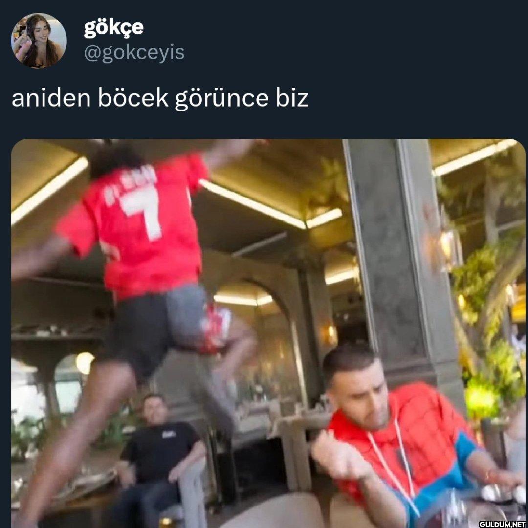 aniden böcek görünce biz