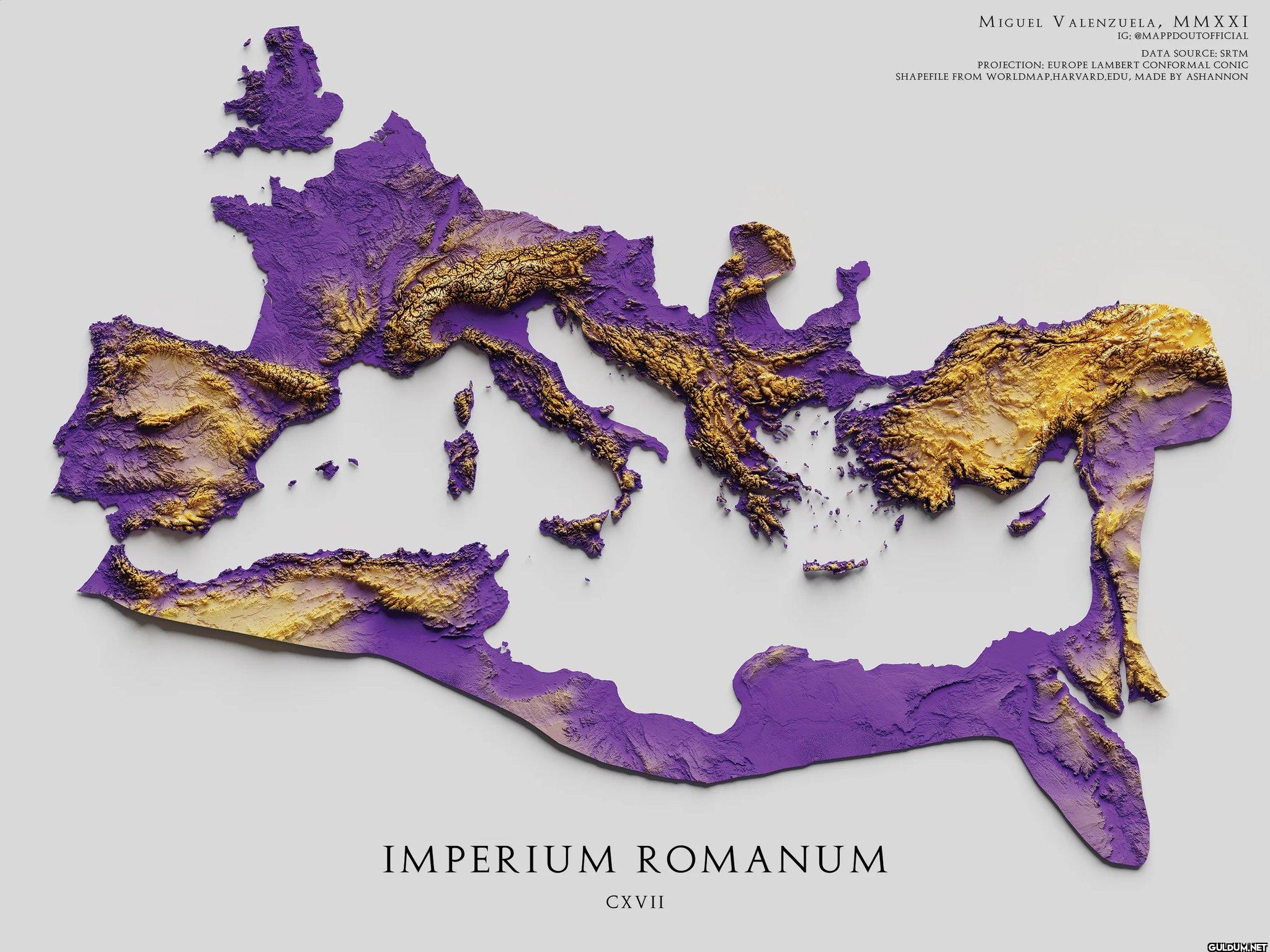 The Topography of the...