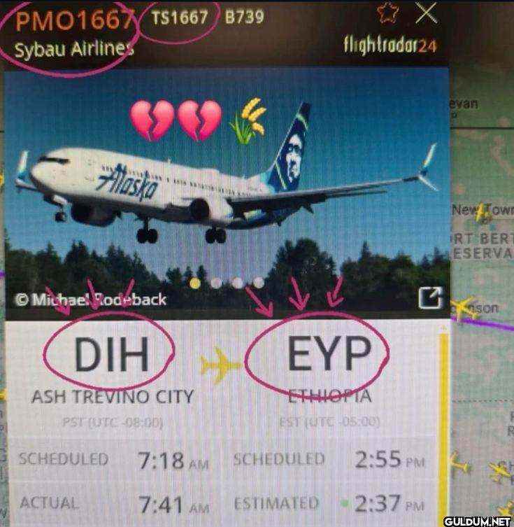PMO1667 TS1667 B739 Sybau...