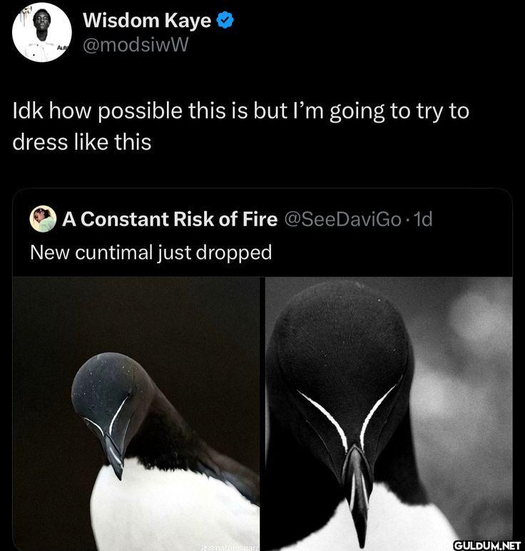 Idk how possible this is...