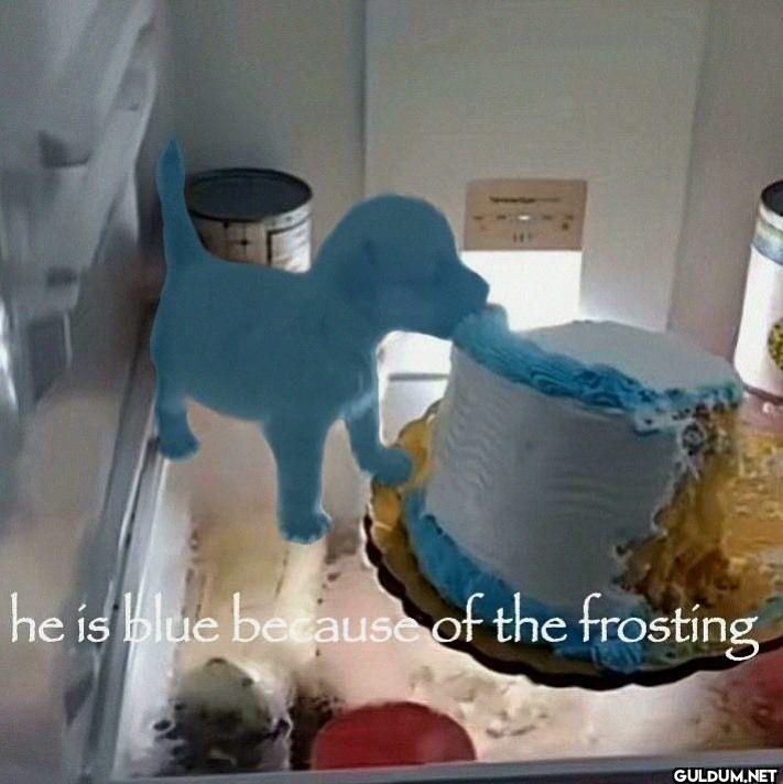 he is blue because of the frosting