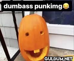 ︎ ︎ ︎ ︎︎ ︎ ︎ ︎︎ ︎ ︎ ︎   ...