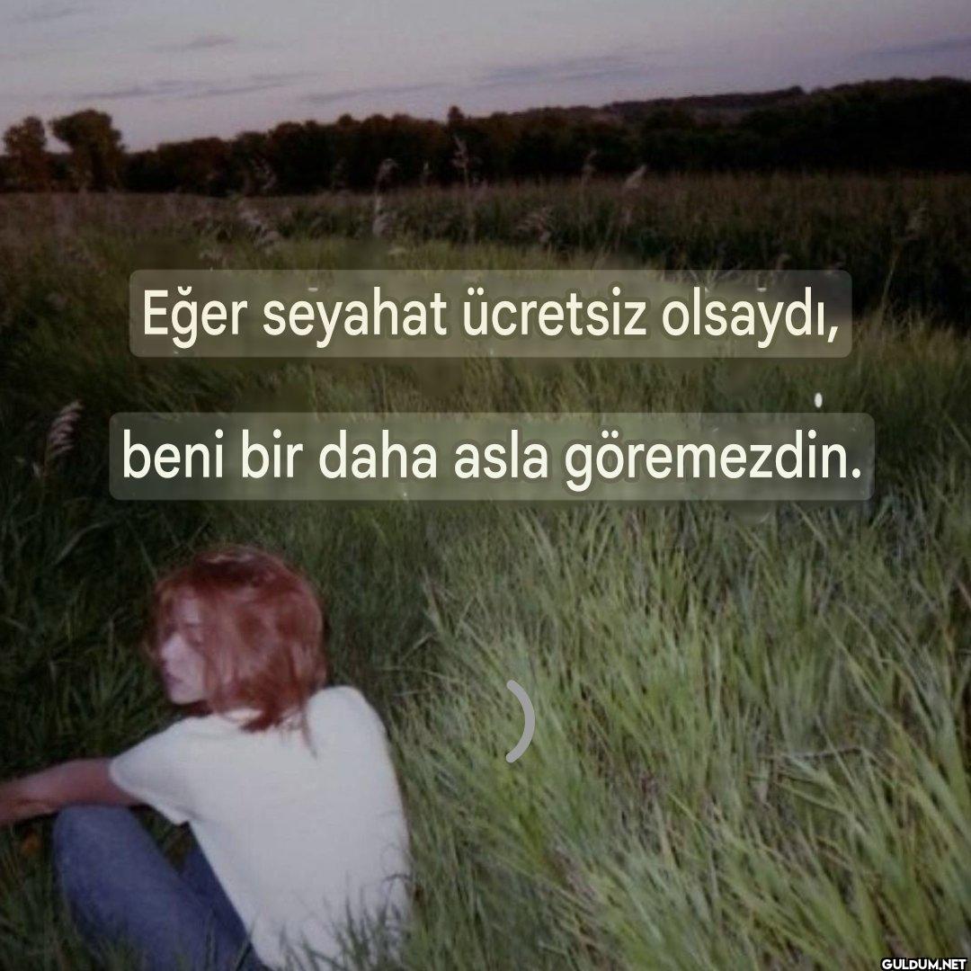 Eğer seyahat ücretsiz...