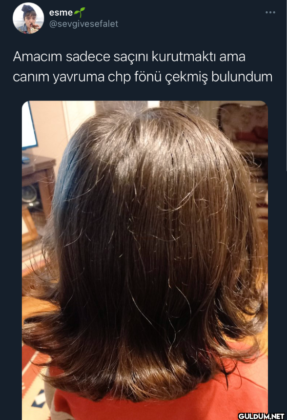 Amacım sadece saçını...