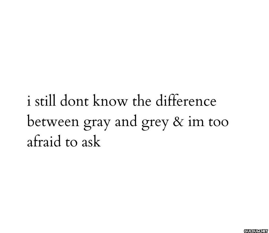 🤔    i still dont know the...