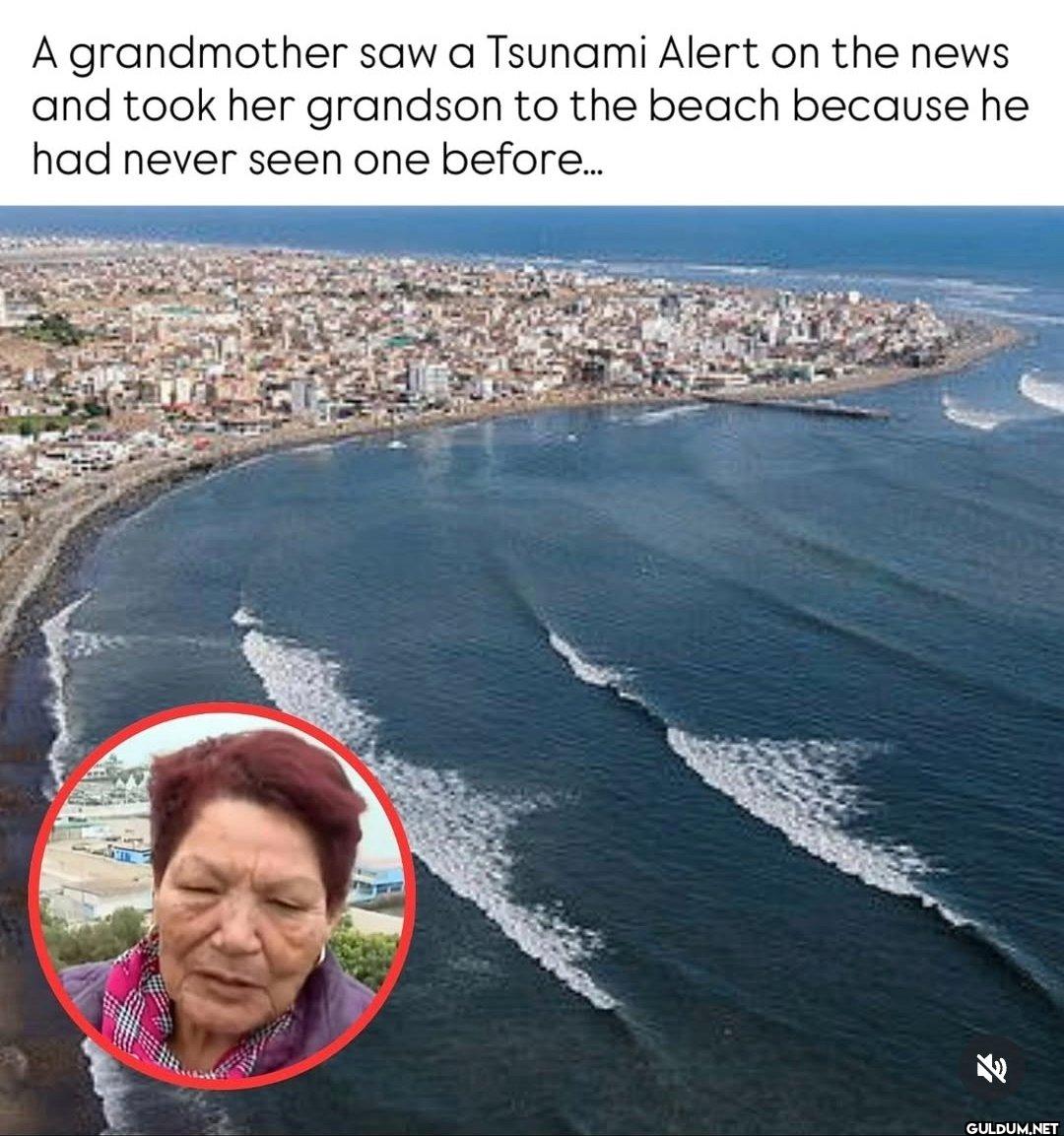 W for grandma? 🤷‍♂️    A...
