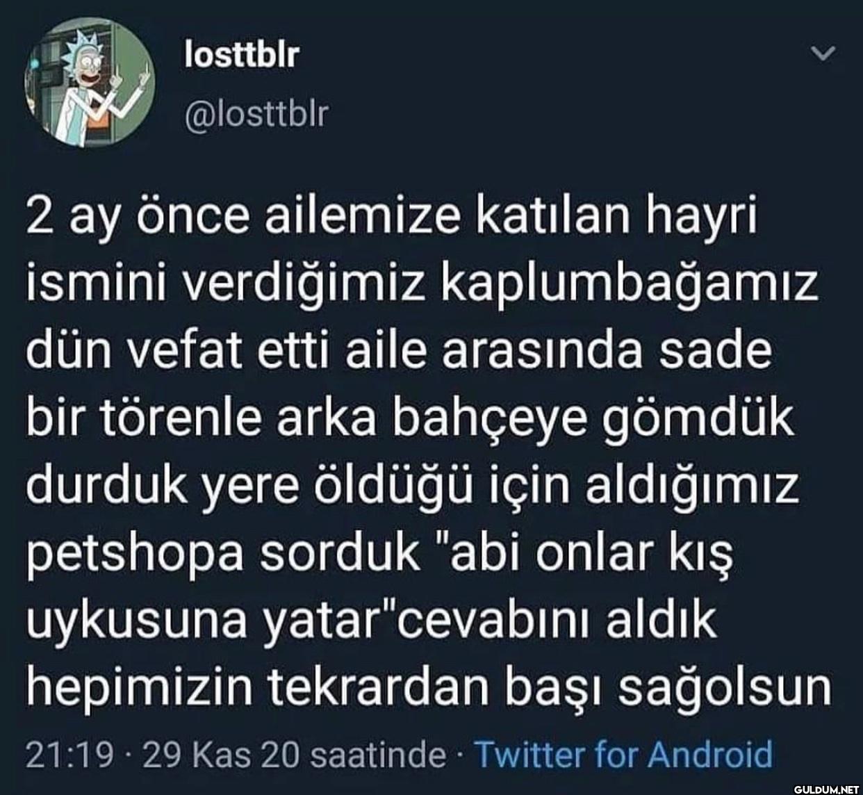 2 ay önce ailemize katılan...