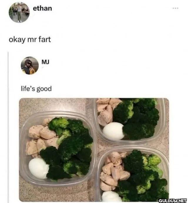ethan okay mr fart MJ life's good