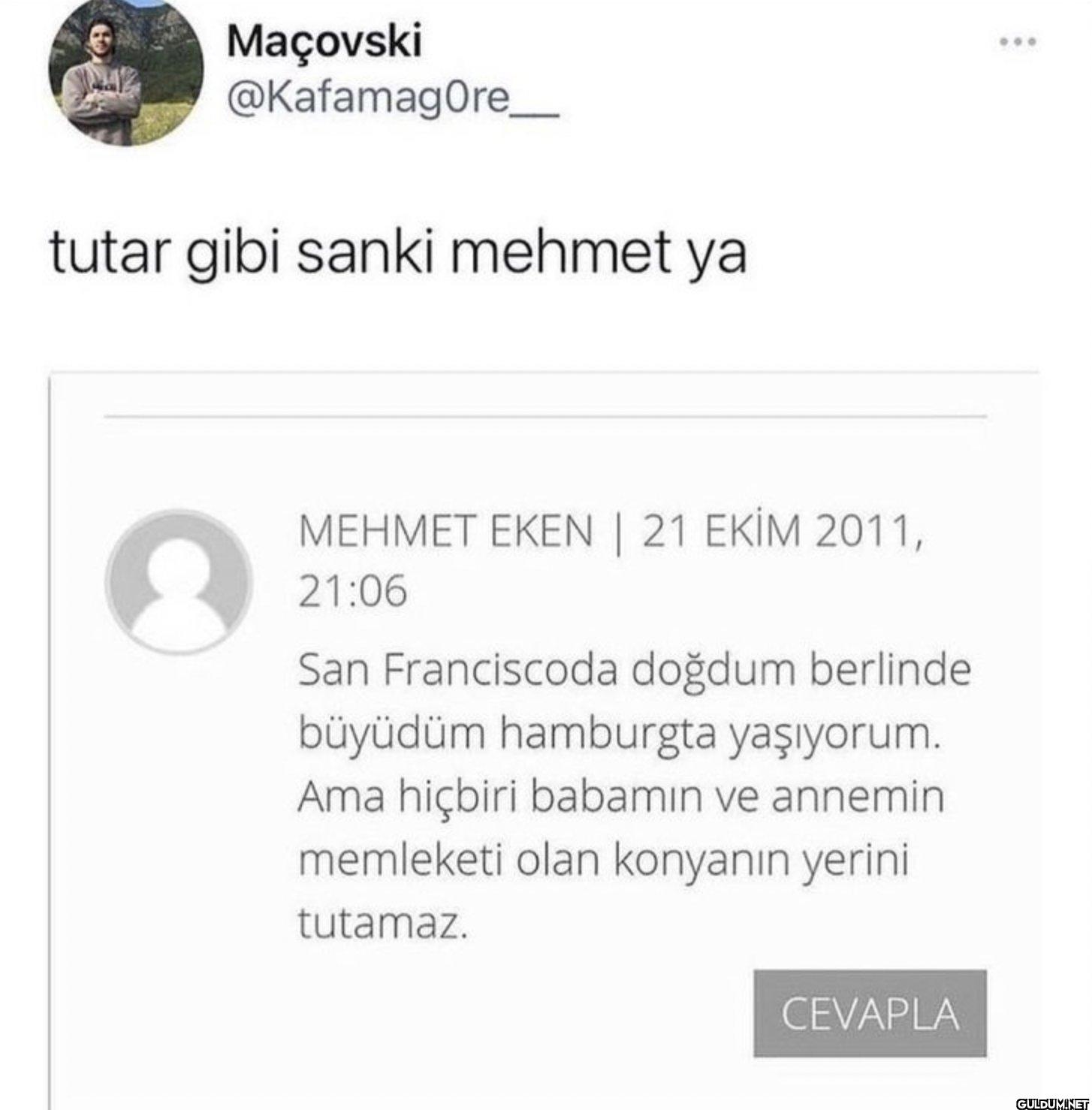 tutar gibi sanki mehmet ya...