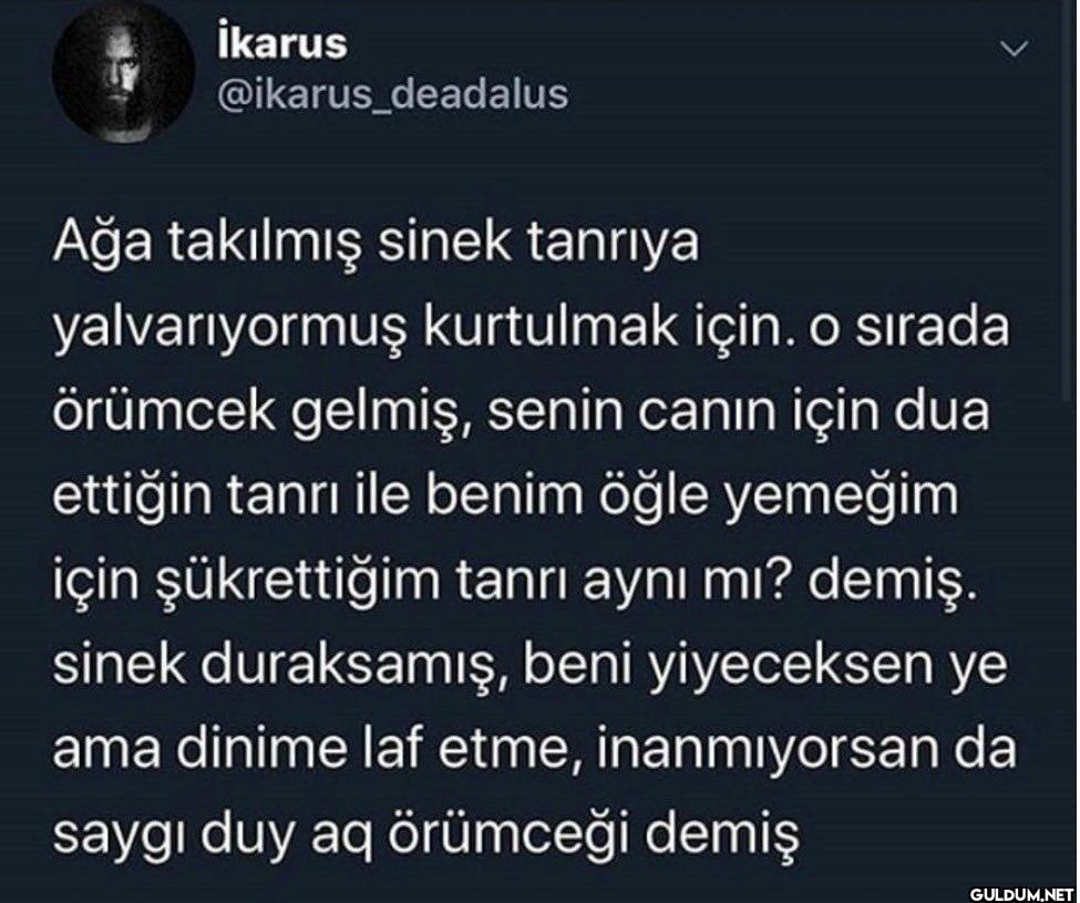 > Ağa takılmış sinek...
