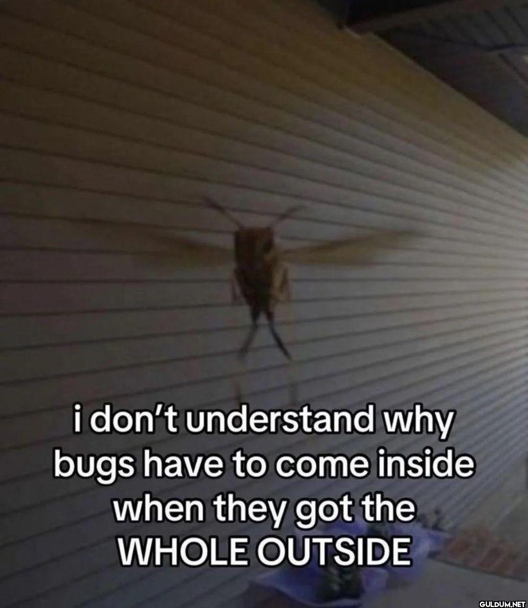 i don't understand why...