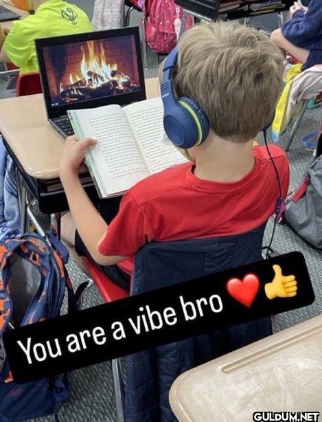 You are a vibe bro