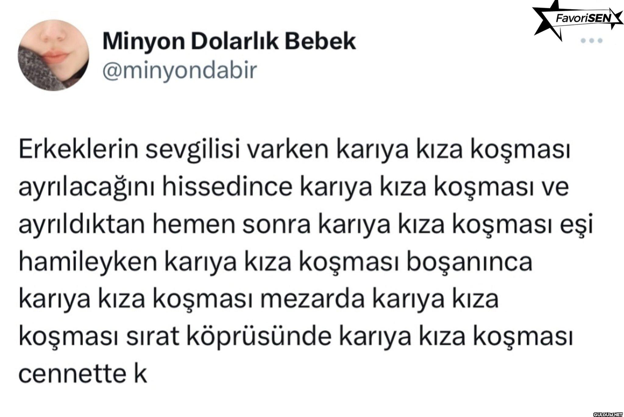 FavoriSEN Minyon Dolarlık...