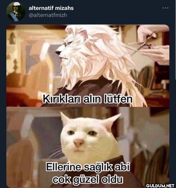 Kırıkları alın lütfen...