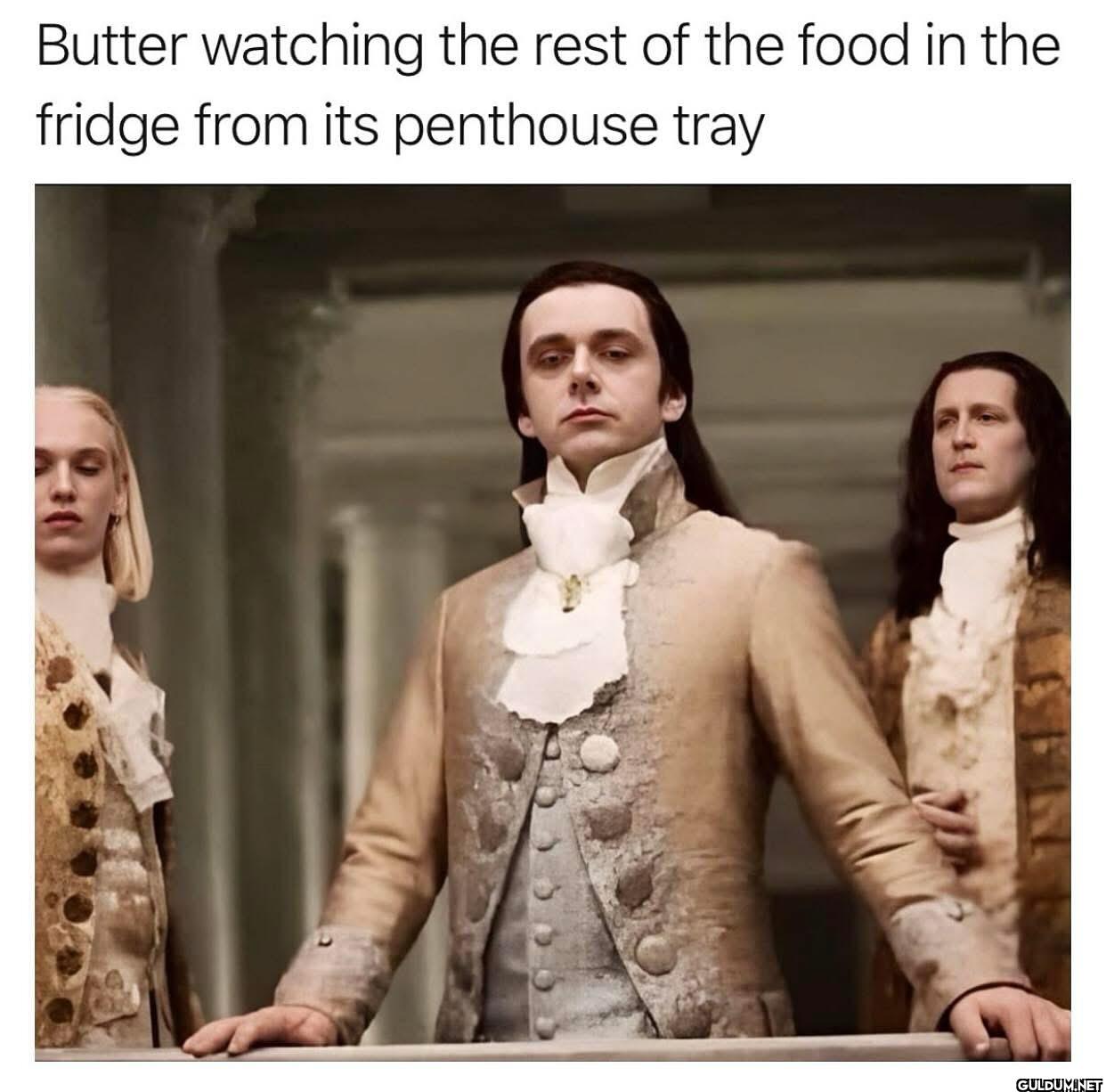 ︎ ︎    Butter watching the...