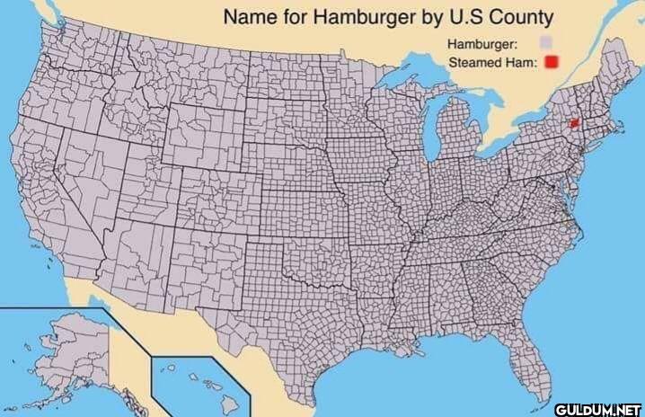 Name for hamburger by US...