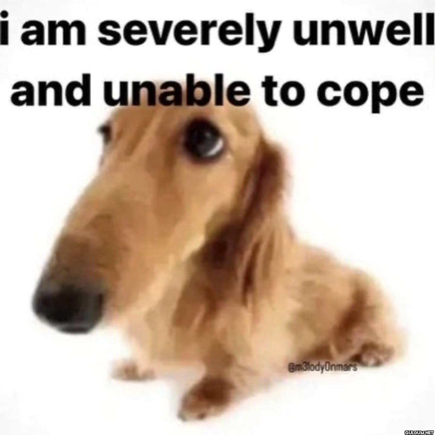 i am severely unwell and...